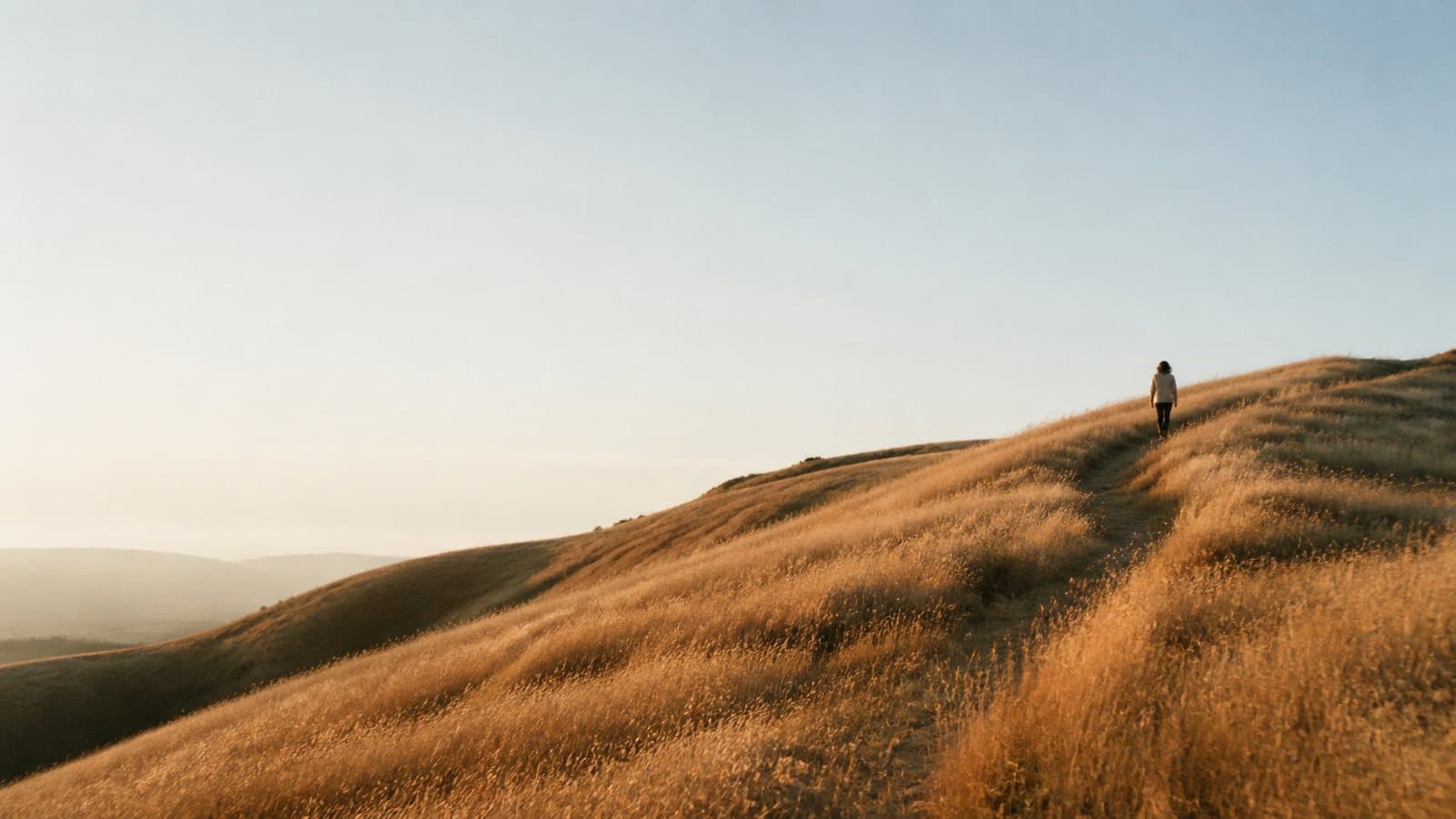 A lone figure on a golden hillside at dusk